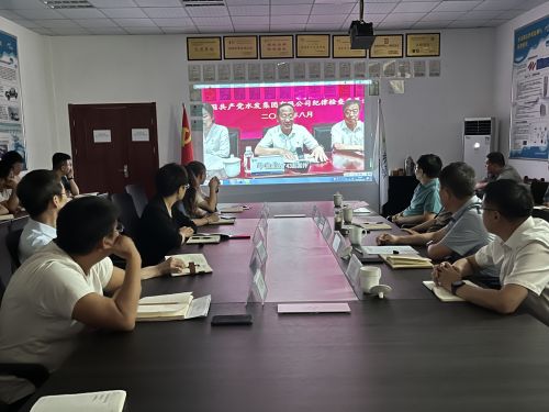 【河海水文】水發(fā)水控集團黨委委員、紀委書記王高升到河海公司全面從嚴治黨、黨風廉政建設專題調研 (1).jpg